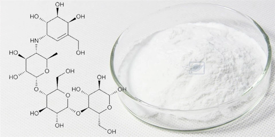 Acarbose powder 2