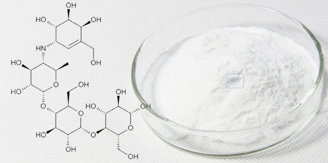 Acarbose powder 2 Acarbose powder 2