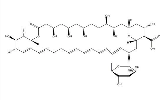 Nystatin 